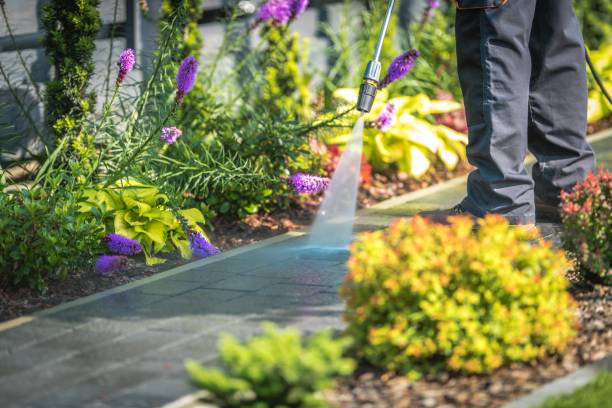 Reliable Sioux Center, IA Pressure Washing Services Solutions